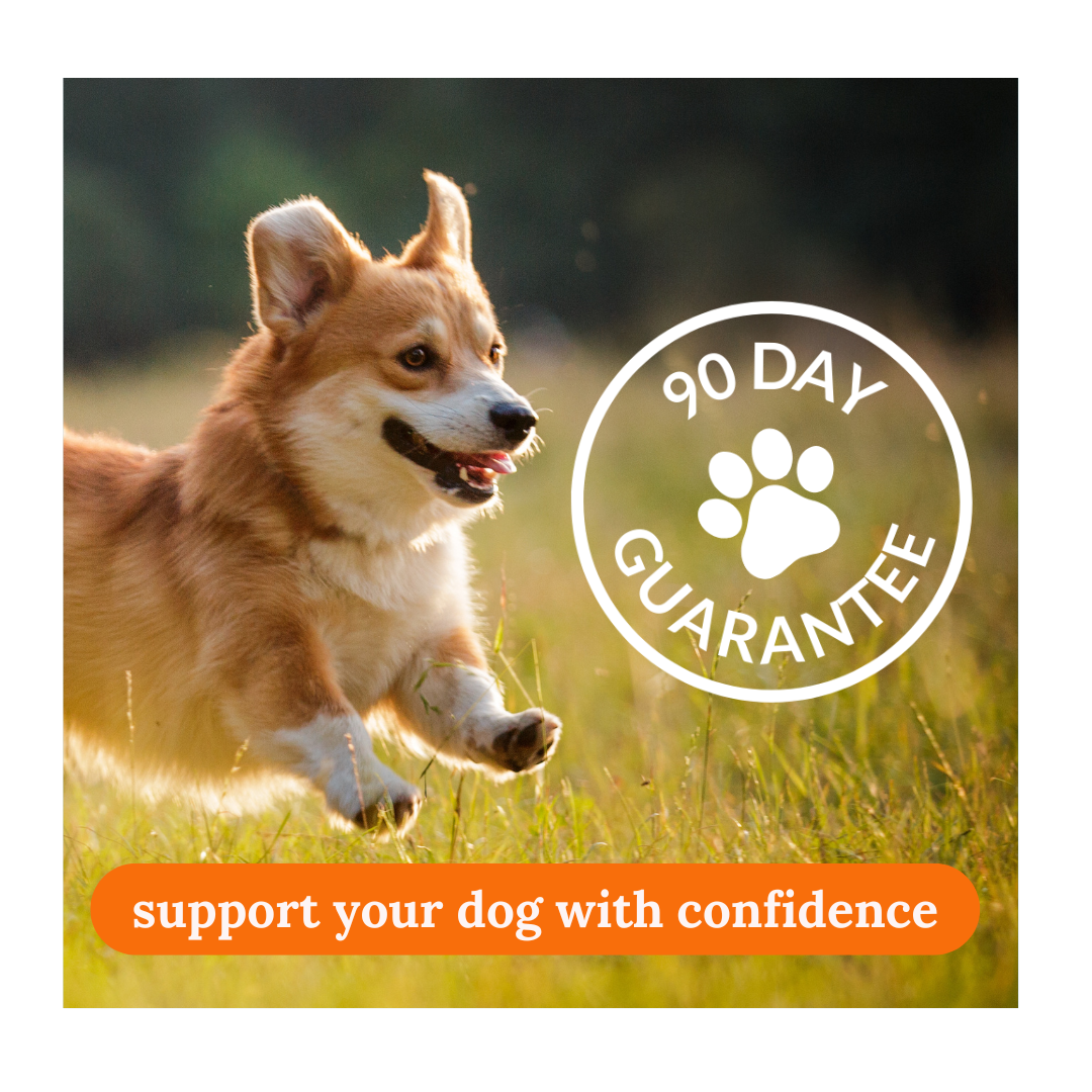 Pure Harvest Plant Based Dog Treats Peanut Butter Flavor 90 Count